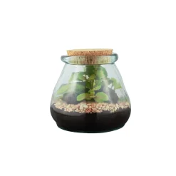 TRUFFAUT - Terrarium 'Bila Uso' S : D.12cm - H.12cm