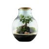 TRUFFAUT - Terrarium 'Mimea' : D.29cm - H.36cm