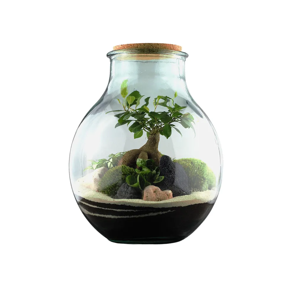 TRUFFAUT - Terrarium 'Mimea' : D.29cm - H.36cm