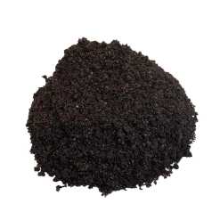 TRUFFAUT - Terreau 'Terre de Vie®' pour cactées et succulentes - sac de 5 litres