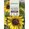 TRUFFAUT - Tournesol géant