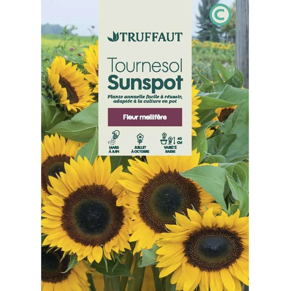 TRUFFAUT - Tournesol sunspot 3 g