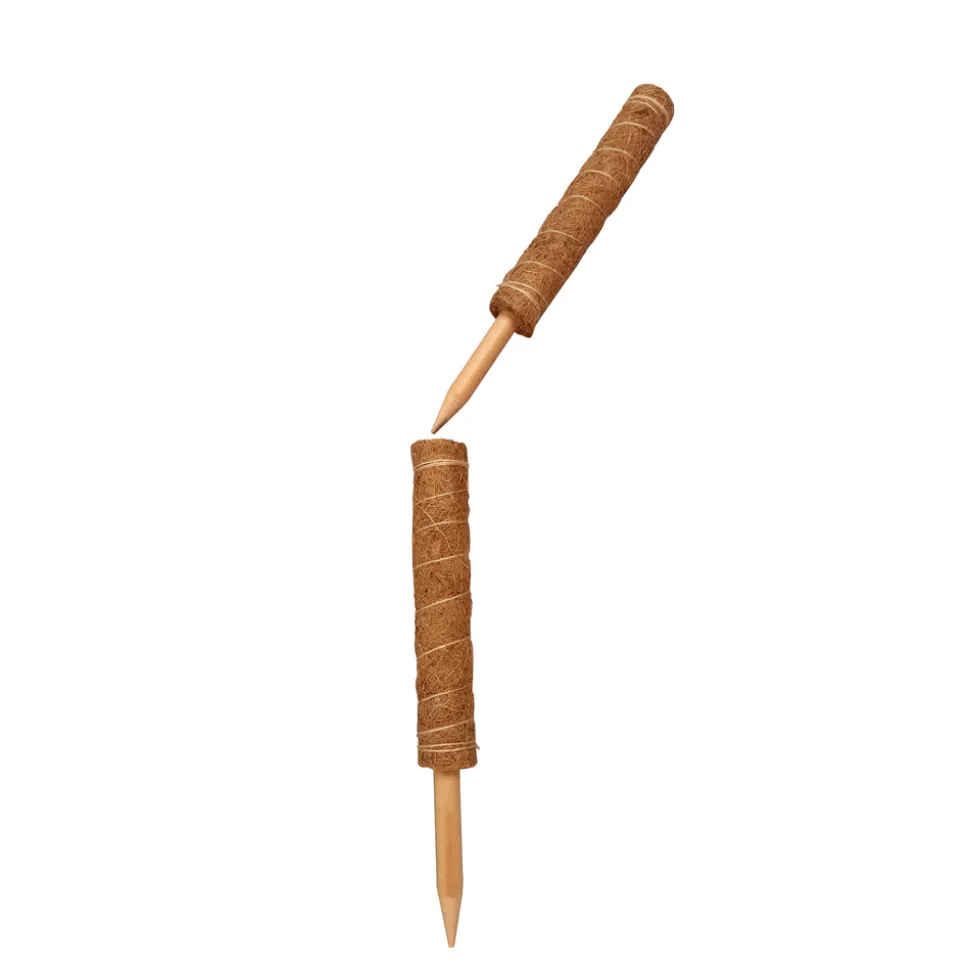 TRUFFAUT - Tuteur coco emboîtable - H.120cm