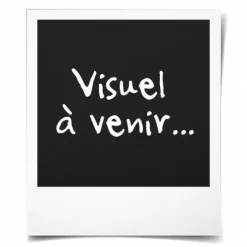 UBBINK - Ubbink ensemble de filtres d'étang filtrapure 2000 l 16 l avec pompe 401417