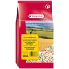 VERSELE LAGA - Graines de tournesol blanches pour oiseaux 600g