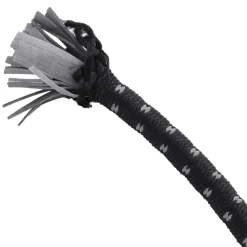 VIDAXL - Cordes élastiques avec bandes réfléchissantes et crochets 10pcs