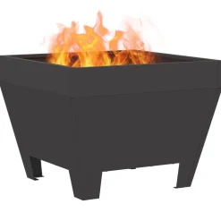 VIDAXL - Foyer carré noir 50x50x30 cm en acier