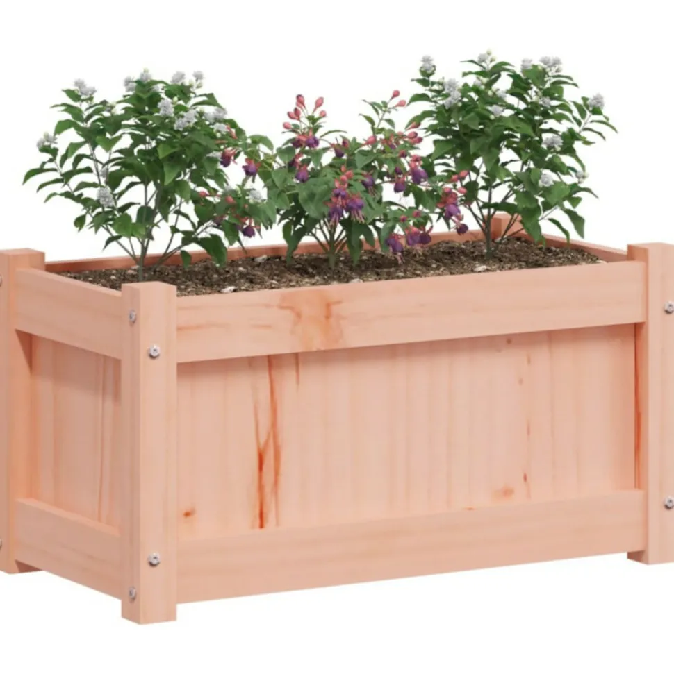 VIDAXL - Jardinière 60x31x31 cm bois massif douglas