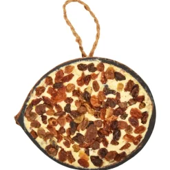 VIDAXL - Moitiés de noix de coco de nourriture d'oiseaux 10 pcs 290 g