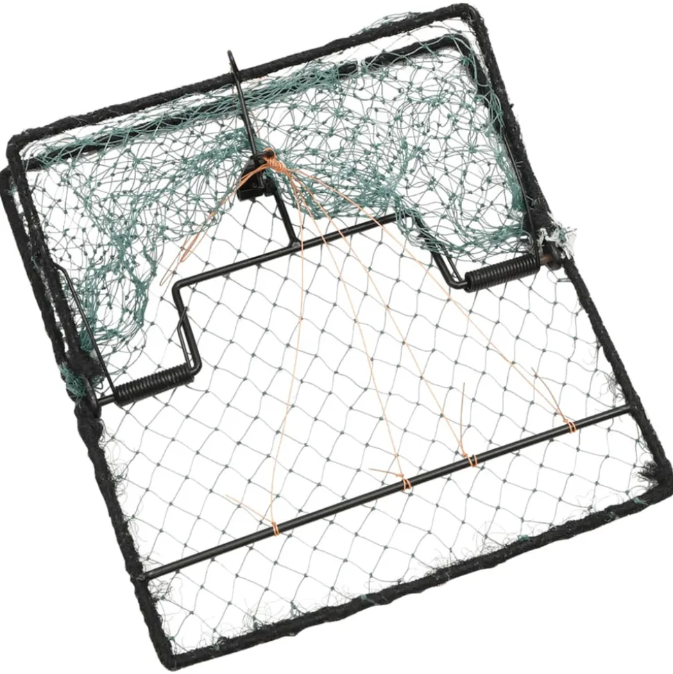 VIDAXL - Piège à oiseaux vert 34x32 cm acier