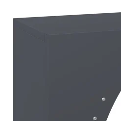 VIDAXL - Portant de bois chauffage anthracite 50x23x100 cm