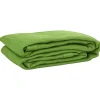 VIDAXL - Tapis de tente vert clair 250x400 cm pehd