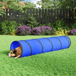 VIDAXL - Tunnel pour chien bleu ø 40x200 cm polyester