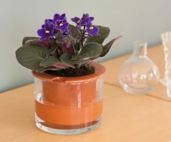 WET POT SYSTEMS - Pot à réservoir d’eau en terre cuite – Taille S