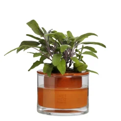 WET POT SYSTEMS - Pot à réservoir d’eau en terre cuite – Taille XS