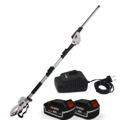 X-PERFORMER - Scie à ebrancher taille haies sur perche 20v - xperformer xp2psth20li - portatif - 2 batteries 4ah et chargeur inclus