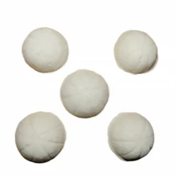 ZOLUX - 5 blocs vacance 2 jours nanolife pour poisson d'agrément 20 gr