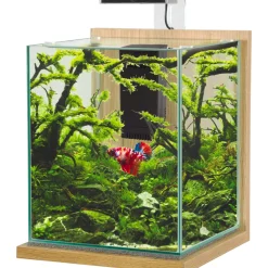 ZOLUX - Aquarium équipé Jalaya XL chêne clair - 18,7 litres