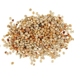 ZOLUX - Graines alimentation oiseaux exotique nutrimeal, 800g.