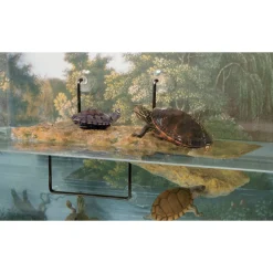 ZOOMED - Ilôt flottant pour tortue