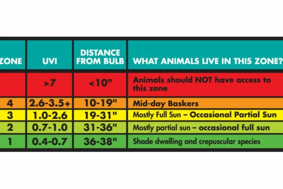 ZOOMED - Repti sun 10.0 t5 24 w - tube t5 uvb 55 cm - tube d'éclairage t5 pour terrarium destiné aux reptiles (lézards, tortues)