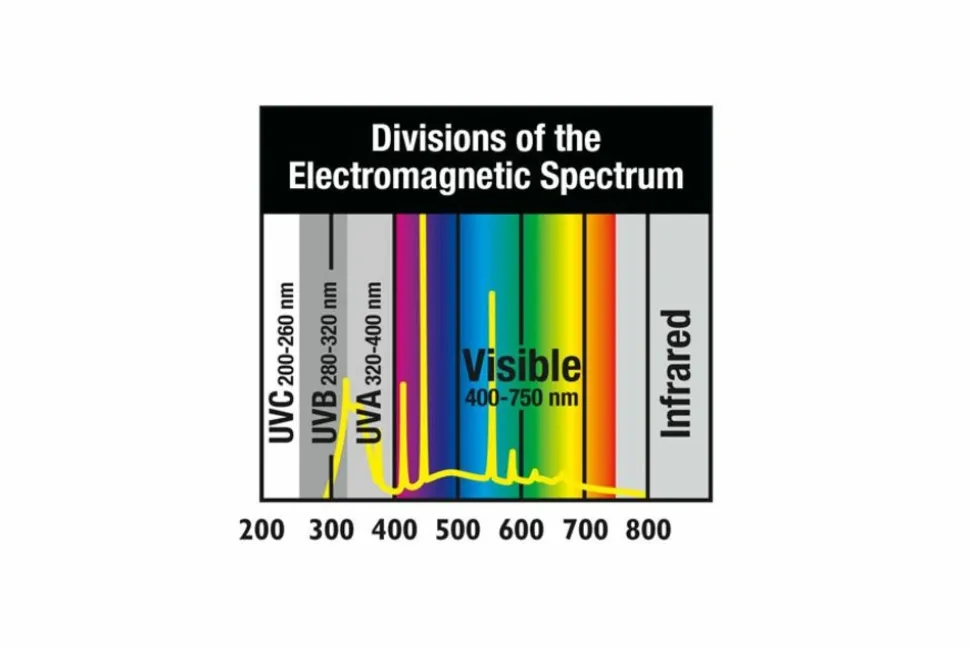 ZOOMED - Repti sun 10.0 t5 24 w - tube t5 uvb 55 cm - tube d'éclairage t5 pour terrarium destiné aux reptiles (lézards, tortues)